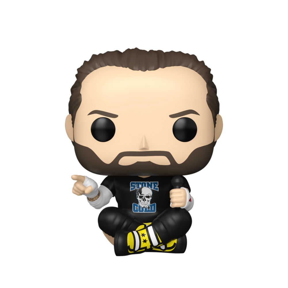 Funko WWE CM Punk Pop! Vinyl Figure Collectible