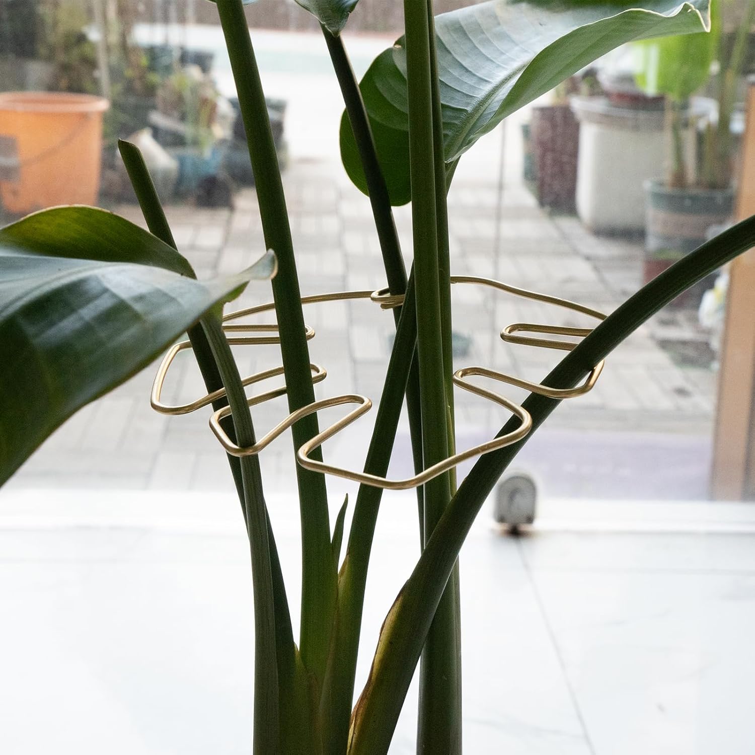 Gold Indoor Plant Stand for Climbing Plants - Plant Support Holder