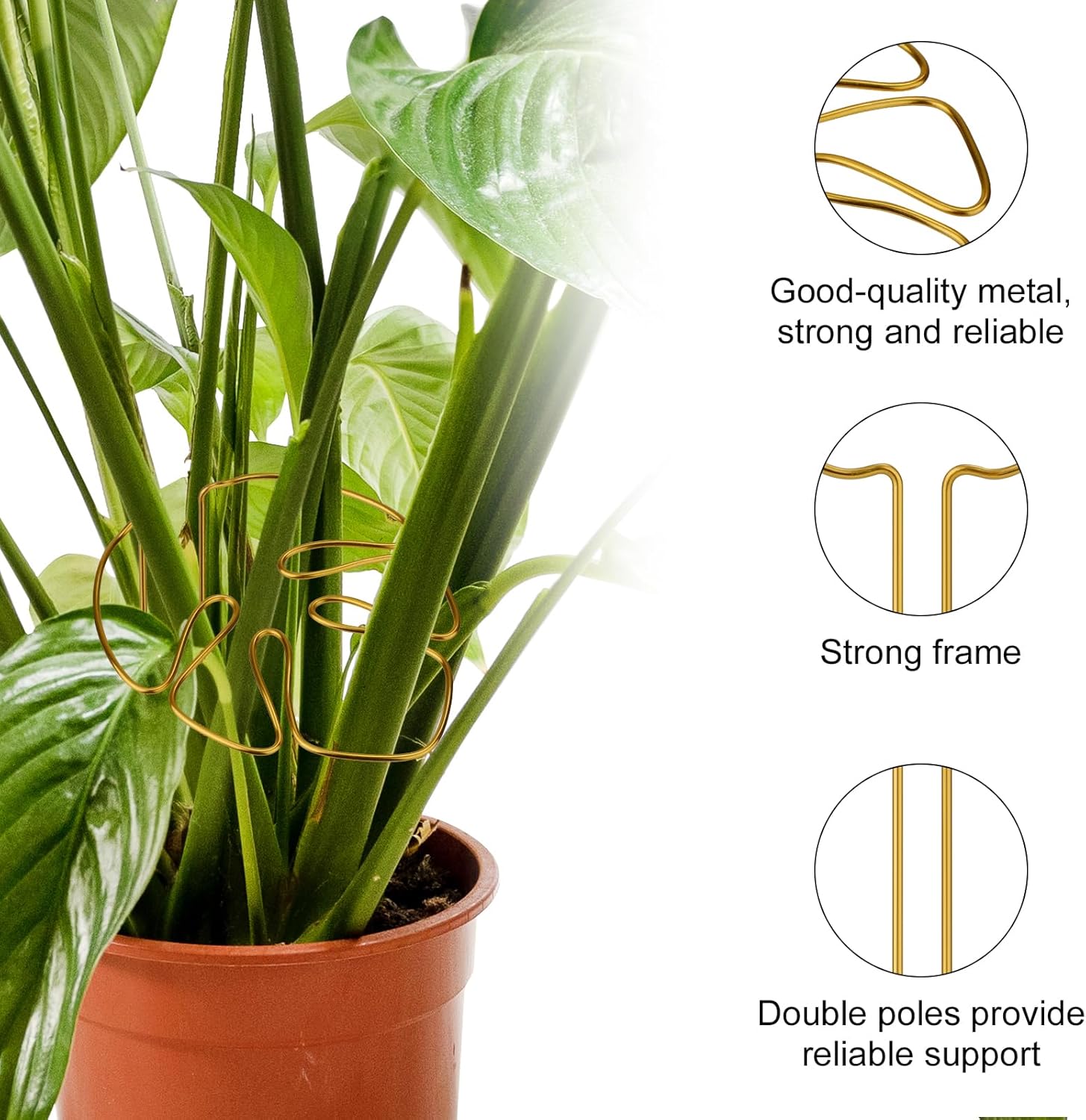 2 Pack Gold Plant Supports Indoor Outdoor Plant Stakes Clips Plant Stand for Plant Support