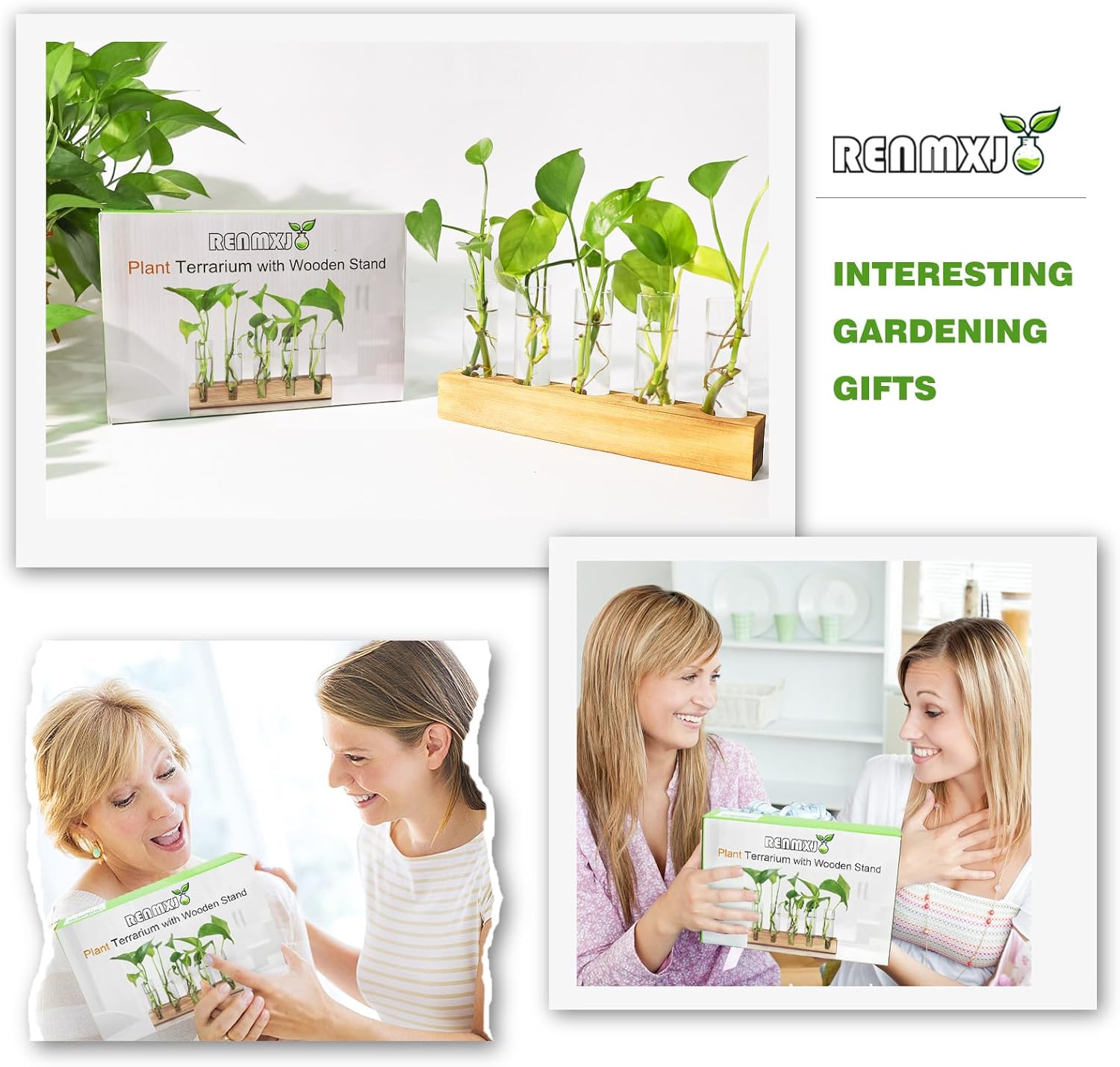 Plant Propagation Station, Plant Terrarium with Wooden Stand, Plants Pots for Hydroponics, Small Birthday Gardening Gifts for Women Mom Plants Lovers Unique - 5 Glass Test Tubes Vases