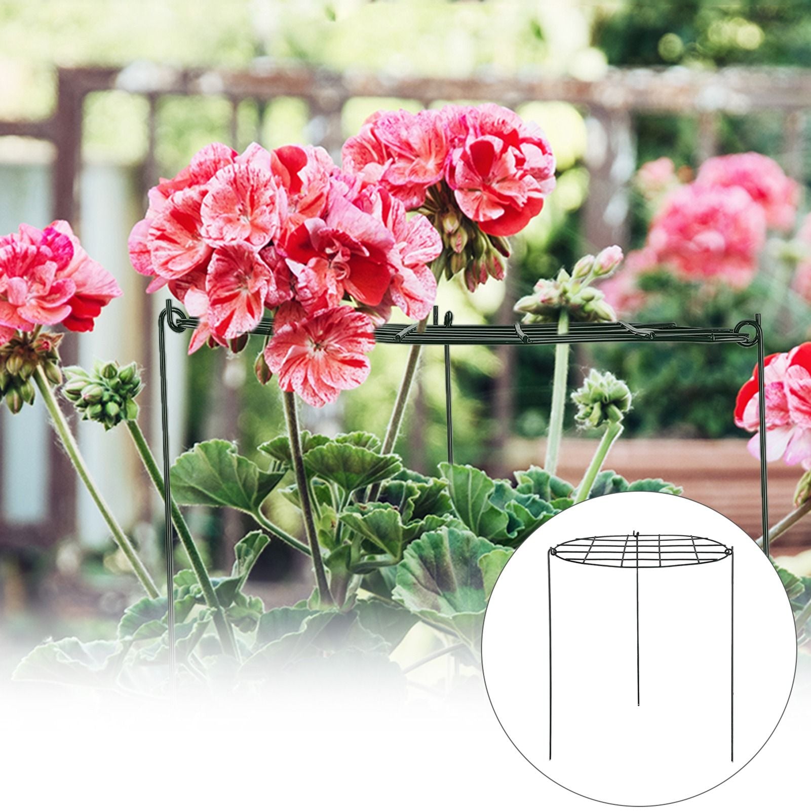 Garden Grid Shaped Iron Metal Plant Stand Strawberry Stand Plant Support Stake