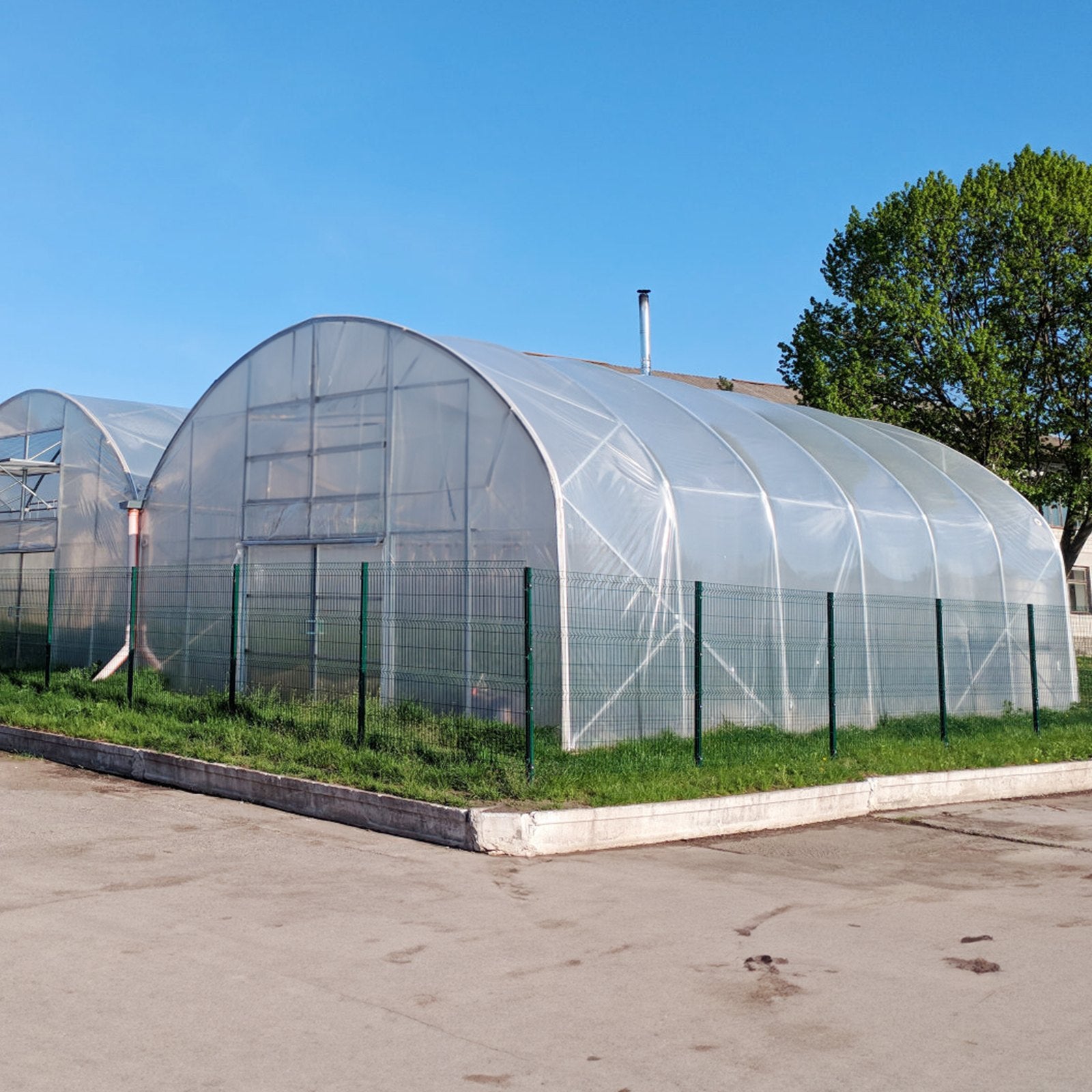 VEVOR Greenhouse Plastic Sheeting 12 x 50 ft 6Mil Clear Polyethylene Film