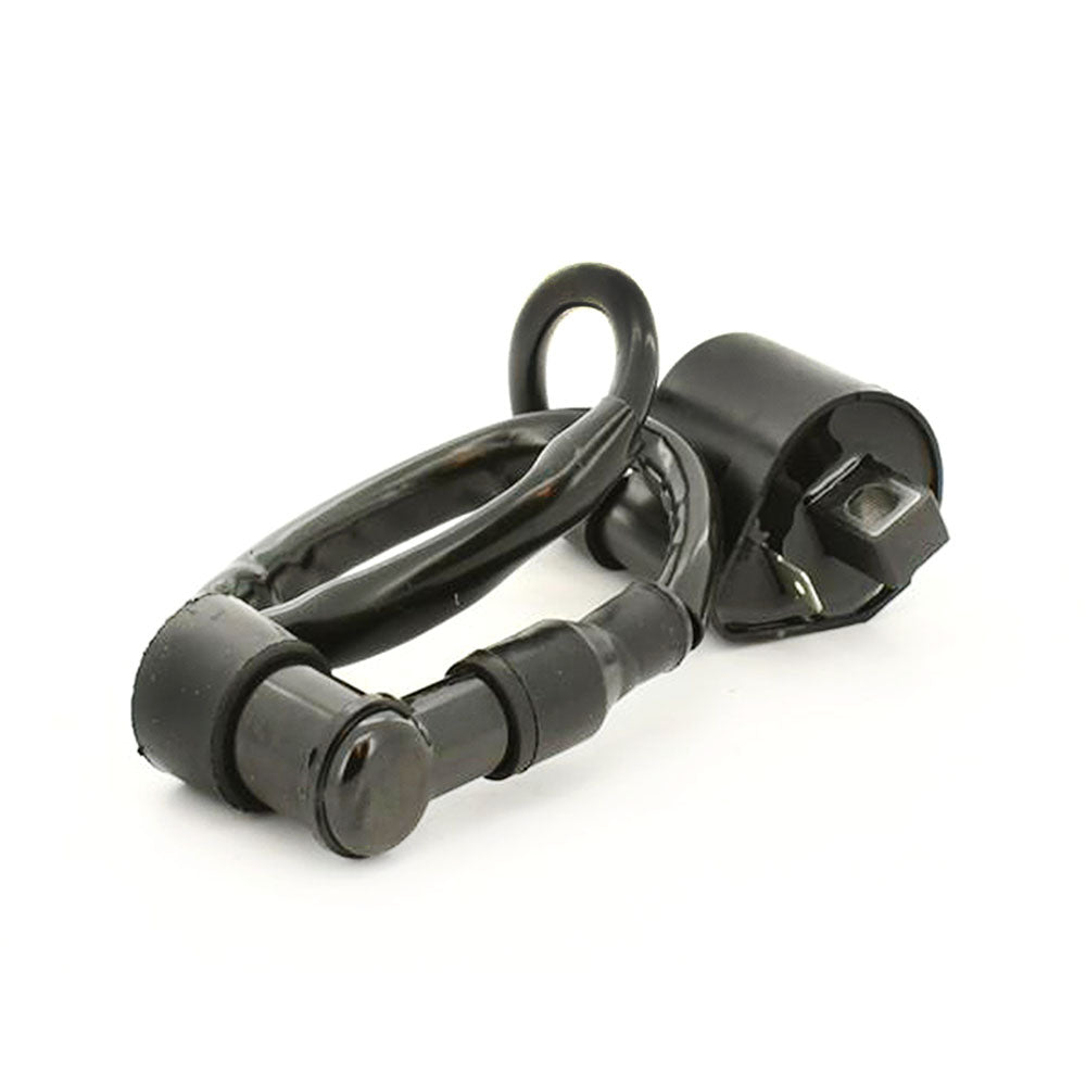 Motorcycle Ignition Coil Fit Yamaha PW50 TTR110E TTR125E TTR230 TW200 XT225 YSR50 CA50K RIVA 80 CV80 etc.