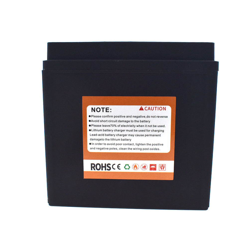 LYTX14-BS Motorcyle Lithium Battery For Triumph Tiger 900 955 1050 Kawasaki etc.