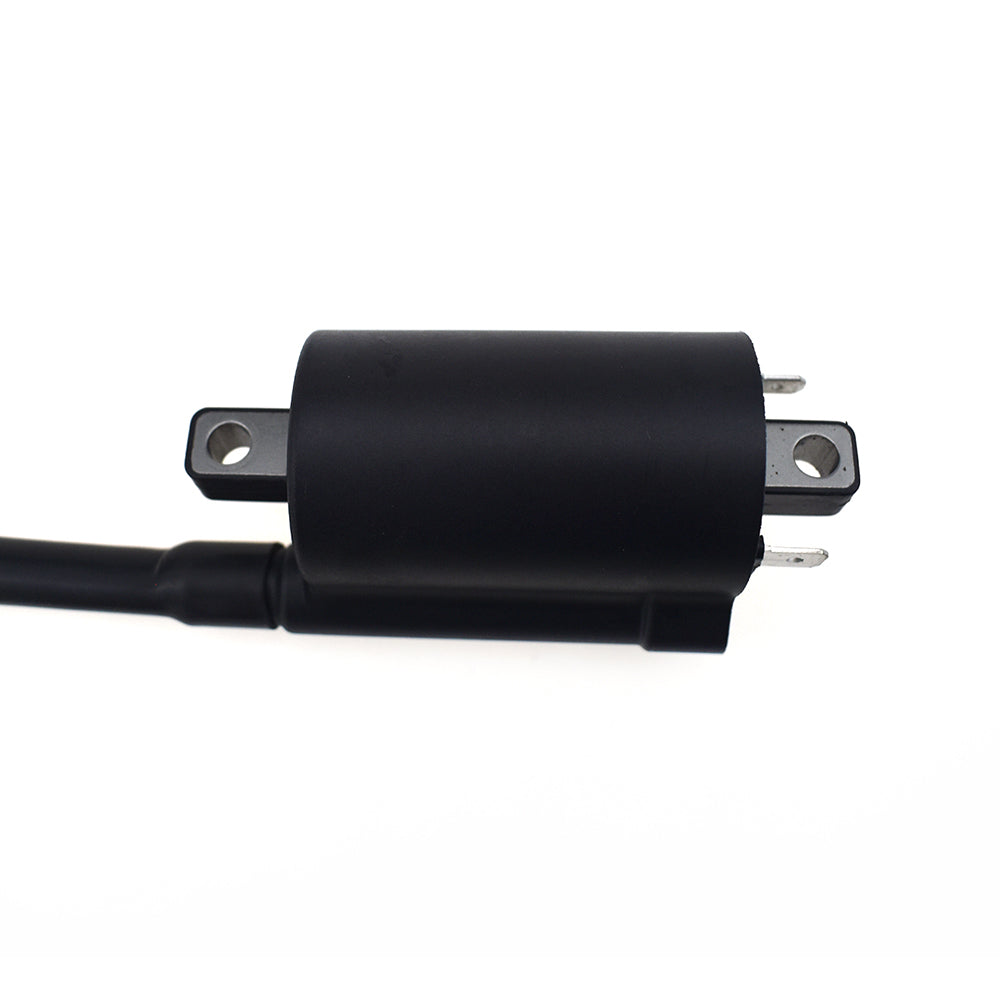 Ignition Coil For Honda CBF500 A ABS CRF250 R CRF450 R Kawasaki Suzuki Yamaha Ducati etc.