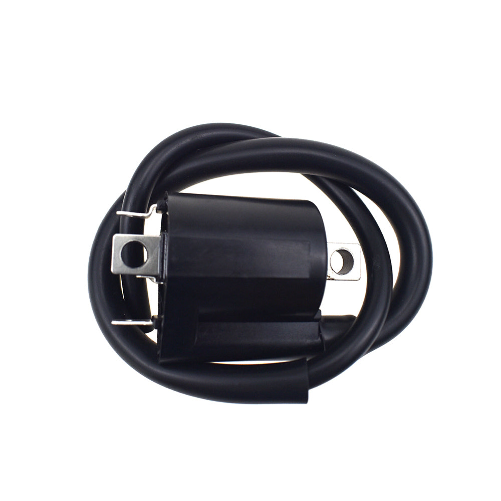 Ignition Coil For Honda CB300 F MSX125 Grom Hyosung Kawasaki Rieju Suzuki Yamaha etc.
