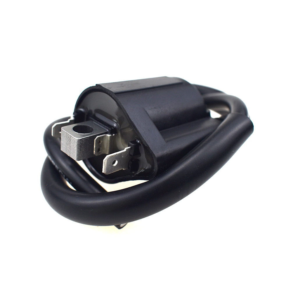 Ignition Coil For Honda CB300 F MSX125 Grom Hyosung Kawasaki Rieju Suzuki Yamaha etc.