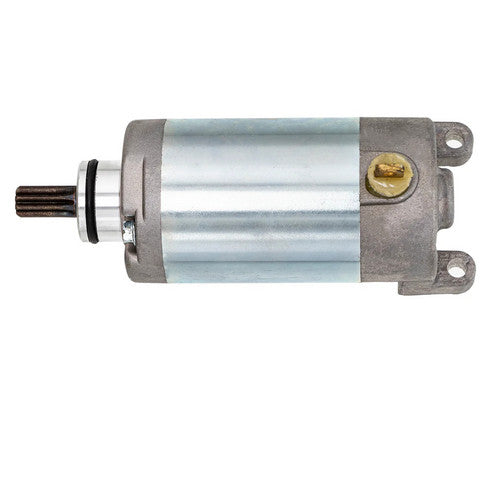 Starter Motor Assembly For Yamaha YFM250R Raptor YFM250RA SE YFM250RSE YFM250RSPX YFM250RSE