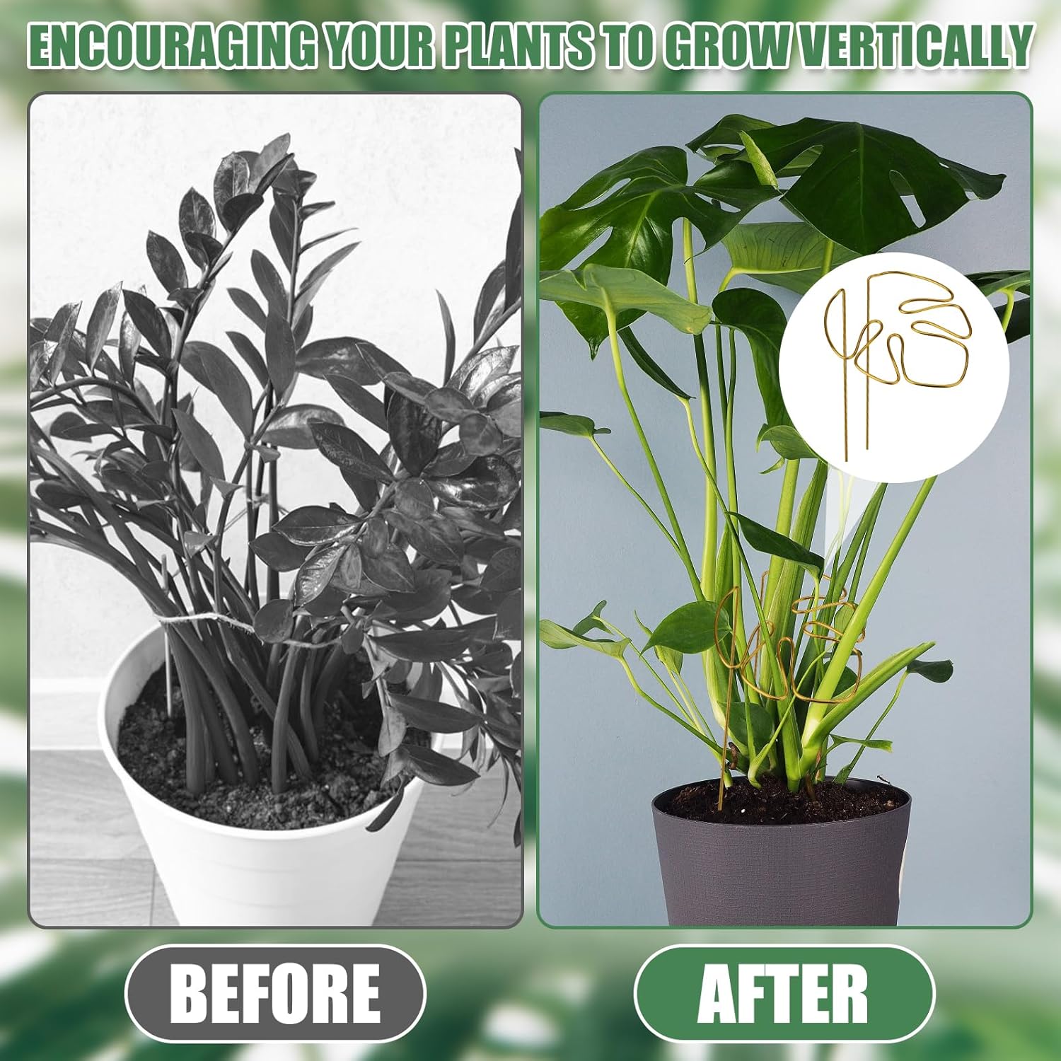 2 Pack Gold Plant Supports Indoor Outdoor Plant Stakes Clips Plant Stand for Plant Support