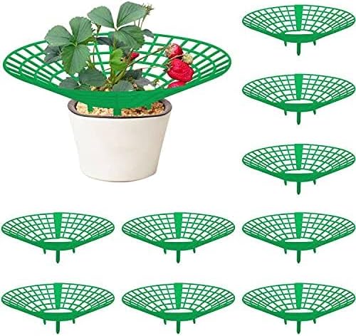 10 Pack Strawberry Plant Supports, Strawberry Plant Stand with 3 Sturdy Legs, Strawberry Growing Racks, Strawberry Growing Frame, Protecting Strawberry Plants from Mold, Rot and Dirt, Green