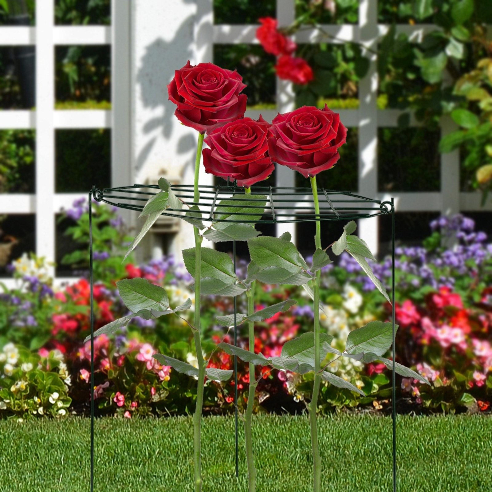 Garden Grid Shaped Iron Metal Plant Stand Strawberry Stand Plant Support Stake
