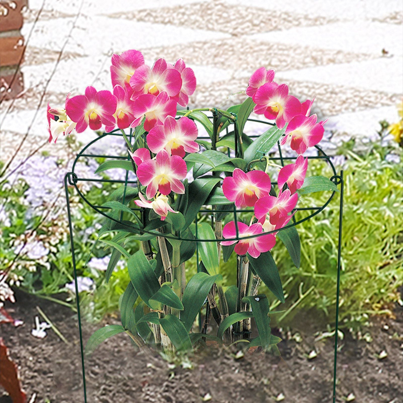 Garden Grid Shaped Iron Metal Plant Stand Strawberry Stand Plant Support Stake