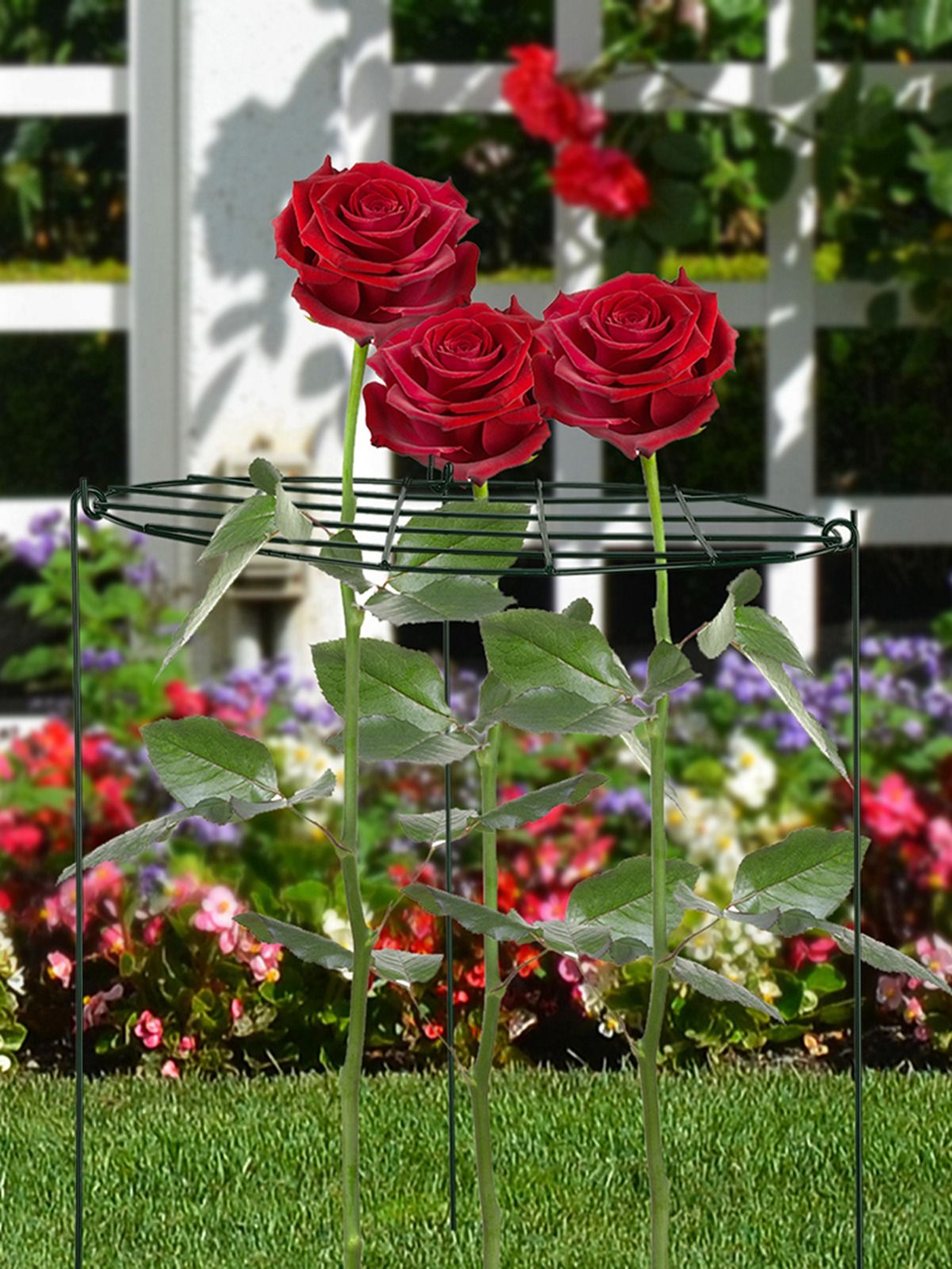 Garden Grid Shaped Iron Metal Plant Stand Strawberry Stand Plant Support Stake